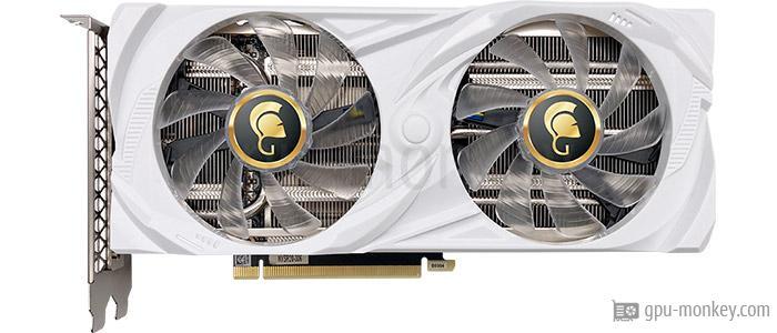 Manli GeForce RTX 3060 Gallardo (M2510 + N630-00)