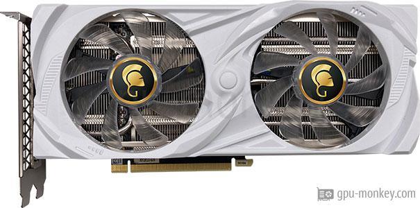 MANLI GeForce RTX 3060 Ti Gallardo (M2510 + N630)